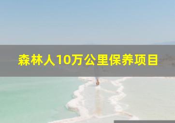 森林人10万公里保养项目