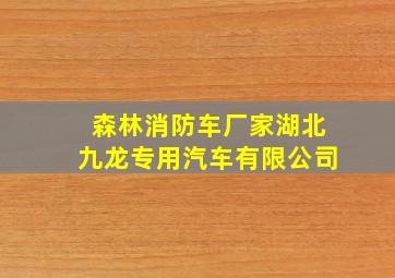 森林消防车厂家湖北九龙专用汽车有限公司