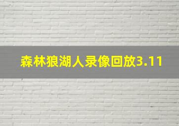 森林狼湖人录像回放3.11