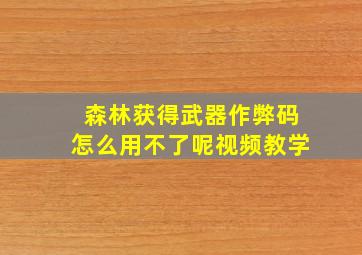 森林获得武器作弊码怎么用不了呢视频教学