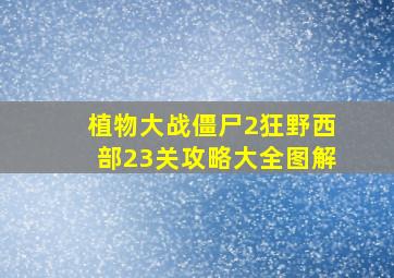 植物大战僵尸2狂野西部23关攻略大全图解