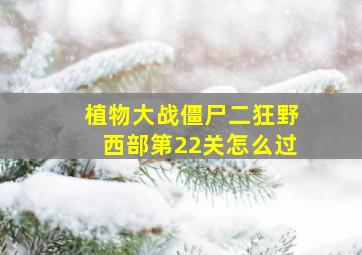 植物大战僵尸二狂野西部第22关怎么过