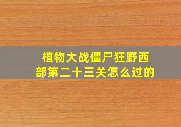 植物大战僵尸狂野西部第二十三关怎么过的