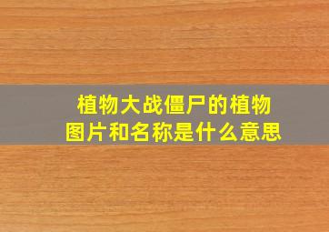 植物大战僵尸的植物图片和名称是什么意思