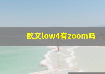 欧文low4有zoom吗