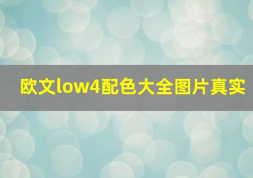 欧文low4配色大全图片真实