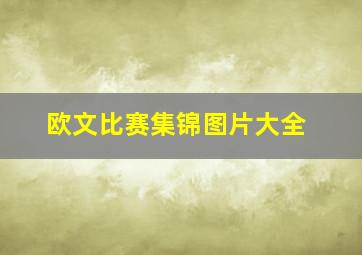 欧文比赛集锦图片大全