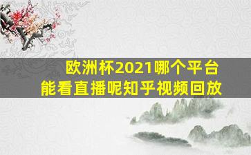 欧洲杯2021哪个平台能看直播呢知乎视频回放