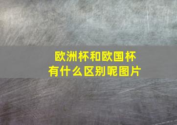 欧洲杯和欧国杯有什么区别呢图片