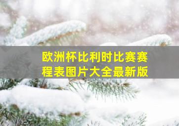 欧洲杯比利时比赛赛程表图片大全最新版