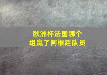 欧洲杯法国哪个组赢了阿根廷队员