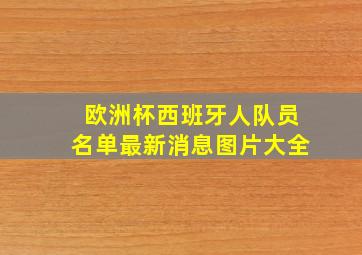 欧洲杯西班牙人队员名单最新消息图片大全