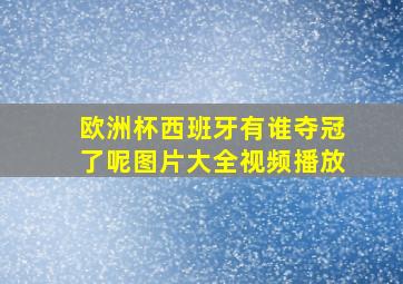 欧洲杯西班牙有谁夺冠了呢图片大全视频播放