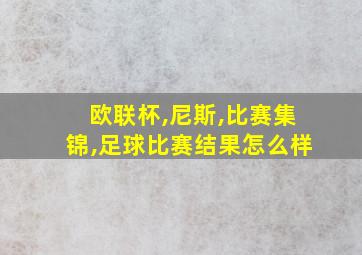 欧联杯,尼斯,比赛集锦,足球比赛结果怎么样