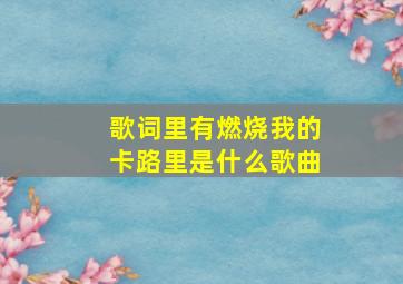 歌词里有燃烧我的卡路里是什么歌曲