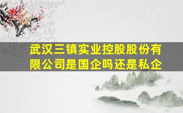 武汉三镇实业控股股份有限公司是国企吗还是私企