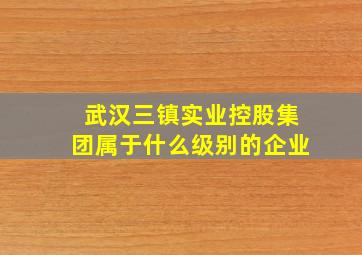 武汉三镇实业控股集团属于什么级别的企业