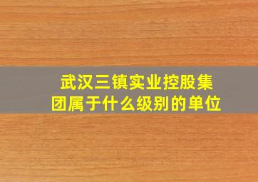 武汉三镇实业控股集团属于什么级别的单位