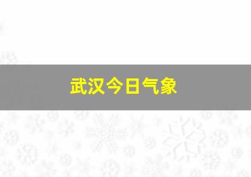 武汉今日气象