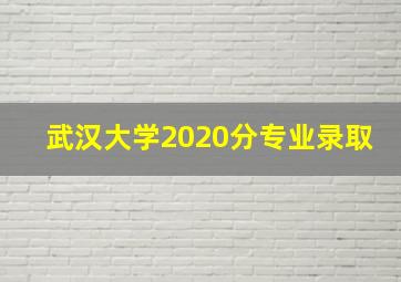 武汉大学2020分专业录取