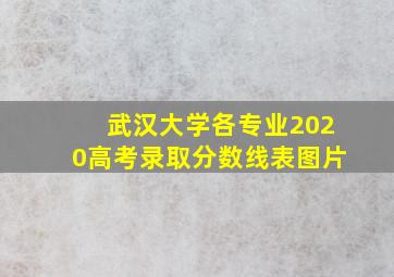 武汉大学各专业2020高考录取分数线表图片