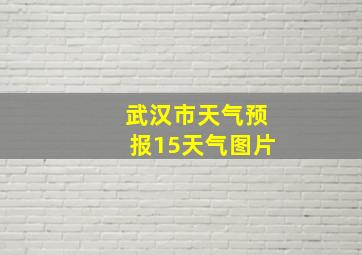 武汉市天气预报15天气图片