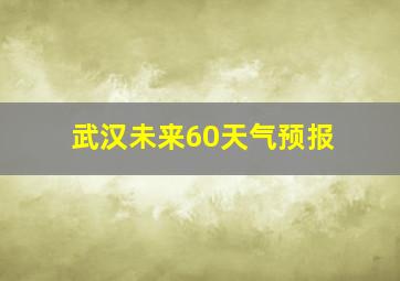 武汉未来60天气预报