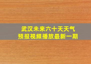武汉未来六十天天气预报视频播放最新一期