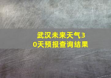 武汉未来天气30天预报查询结果