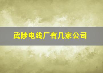 武陟电线厂有几家公司