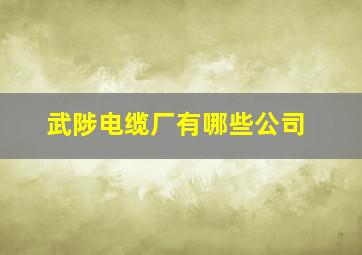 武陟电缆厂有哪些公司