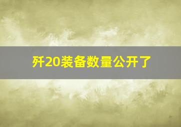 歼20装备数量公开了