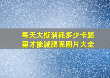 每天大概消耗多少卡路里才能减肥呢图片大全