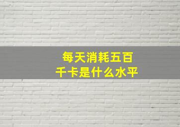 每天消耗五百千卡是什么水平