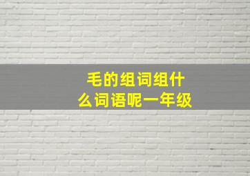 毛的组词组什么词语呢一年级