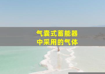 气囊式蓄能器中采用的气体