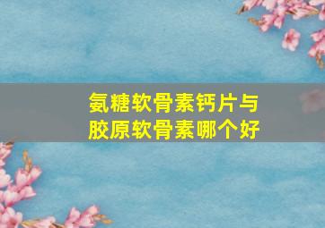 氨糖软骨素钙片与胶原软骨素哪个好