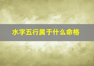 水字五行属于什么命格