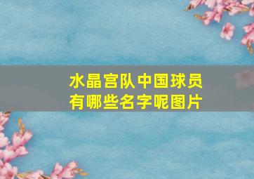 水晶宫队中国球员有哪些名字呢图片