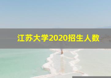 江苏大学2020招生人数