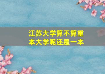 江苏大学算不算重本大学呢还是一本