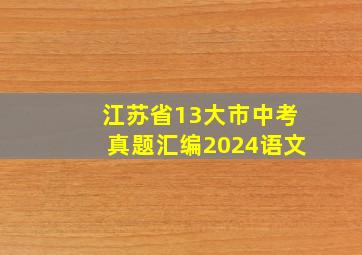 江苏省13大市中考真题汇编2024语文