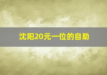 沈阳20元一位的自助