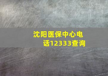 沈阳医保中心电话12333查询