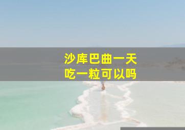 沙库巴曲一天吃一粒可以吗