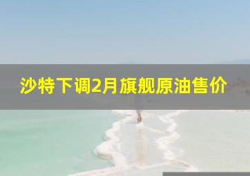 沙特下调2月旗舰原油售价