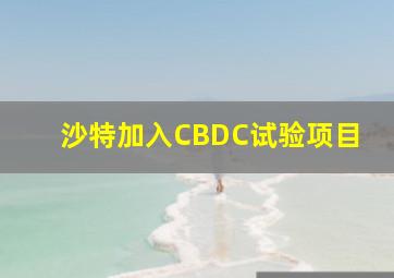 沙特加入CBDC试验项目