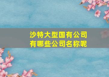 沙特大型国有公司有哪些公司名称呢