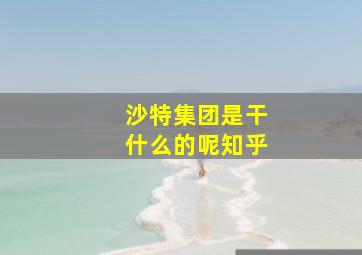 沙特集团是干什么的呢知乎