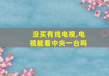 没买有线电视,电视能看中央一台吗